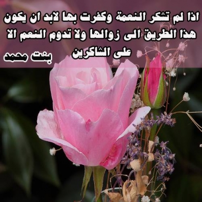 شكر النعم