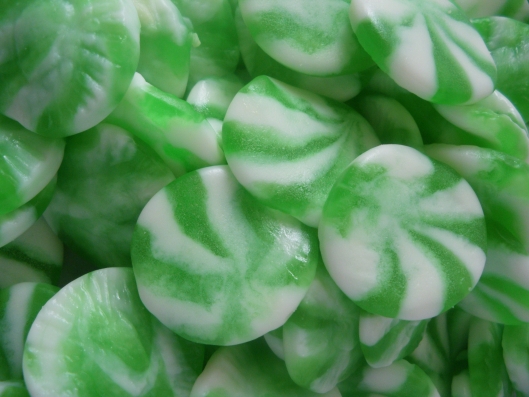 Les nouveautés sont arrivées chez Candine Halal : Kiwi twist ! www.candine.fr