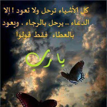يارب