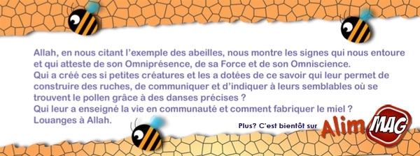 Reportage les animaux du Coran : Les abeilles.
A lire très bientôt sur Alim Mag.
Le lancement prend du temps, veuillez nous en excuser, mais là nous y sommes presque, bi idhnillah.