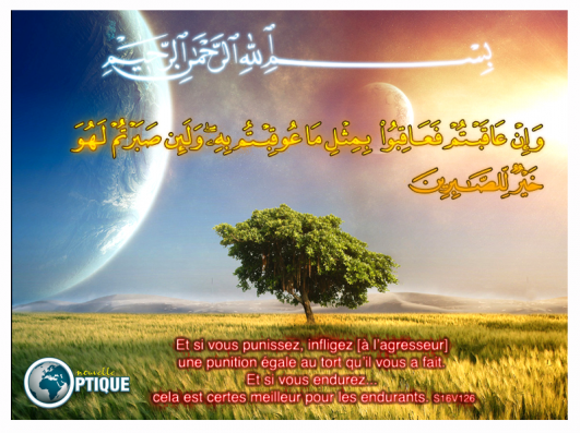 Et si vous punissez, infligez [à l'agresseur] une punition égale au tort qu'il vous a fait. Et si vous endurez... cela est certes meilleur pour les endurants sourate 16 verset 126