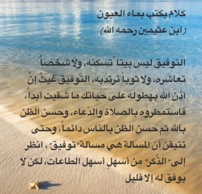 وَمَا تَوْفِيقِي إِلاَّ بِاللّهِ عَلَيْهِ تَوَكَّلْتُ وَإِلَيْهِ أُنِيبُ (88) ). سورة هود