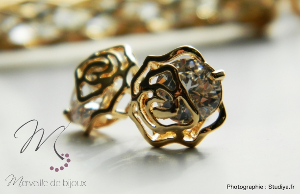 Une paire de boucles d'oreilles qui mettra votre charme en avant fait en plaqué or et sertie d'un diamant zirconium.

http://www.merveilledebijoux.fr/fr/boucles-d-oreilles/105-la-rose.html